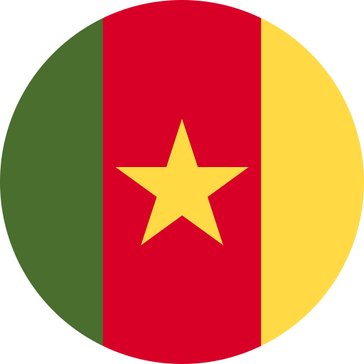 Cameroon flag