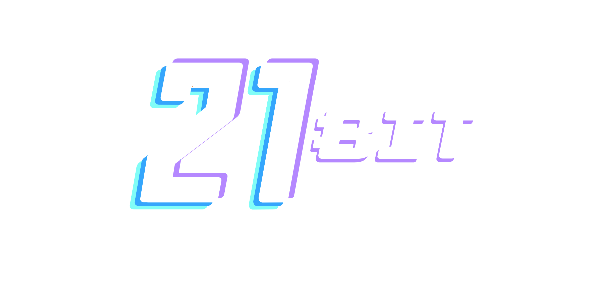 21Bit 标志